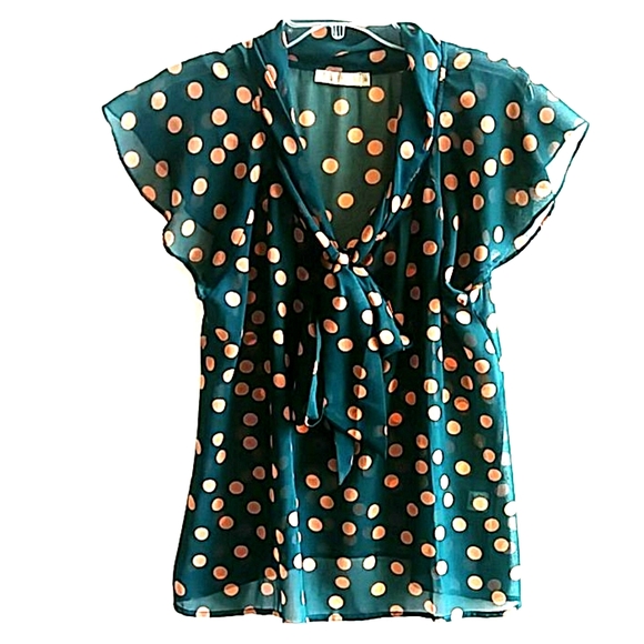 fun 2 fun Tops - Fun 2 Fun Polka Dot Sheer Top